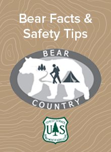 Bear Safety in the Upstate